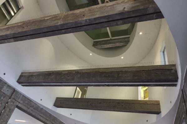 StrijpS8